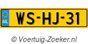 WS-HJ-31