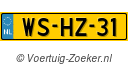 WSHZ31