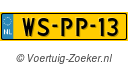 WSPP13