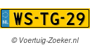 WSTG29