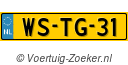 WSTG31