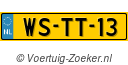 WSTT13