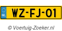 WZFJ01
