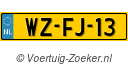 WZFJ13