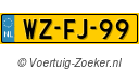 WZFJ99