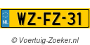 WZFZ31