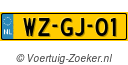 WZGJ01