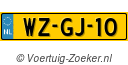 WZGJ10