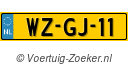 WZGJ11