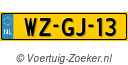 WZGJ13