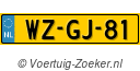 WZGJ81