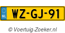 WZGJ91