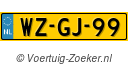 WZGJ99