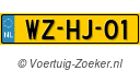 WZHJ01