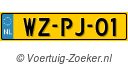 WZPJ01