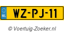 WZPJ11