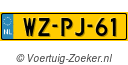 WZPJ61