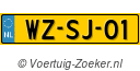 WZSJ01