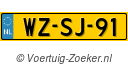 WZSJ91