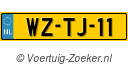 WZTJ11