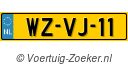 WZVJ11