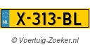 X313BL