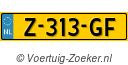 Z313GF