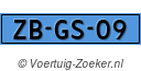 ZB-GS-09