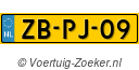 ZBPJ09