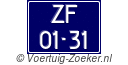 ZF-01-31