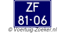 ZF-81-06