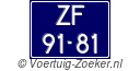 ZF-91-81