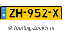 ZH952X