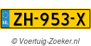 ZH953X