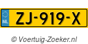 ZJ919X