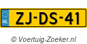 ZJDS41