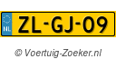 ZLGJ09